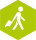 trips-organised